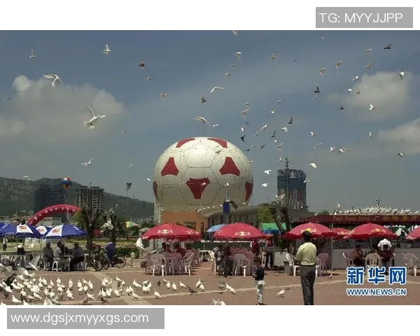 大连足球直播精彩瞬间回顾与赛季前瞻分析全方位解读球队动态